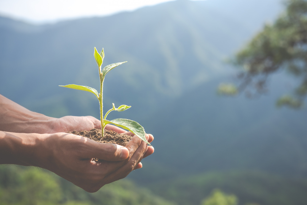 Environmental Protection
